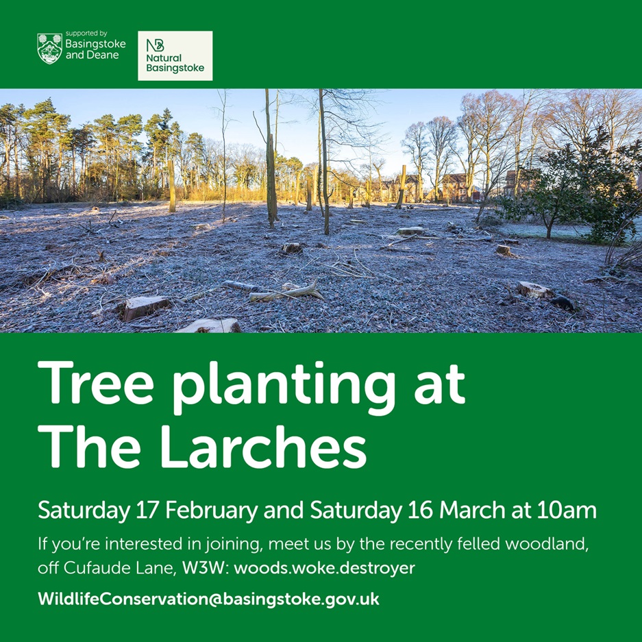 Tree Planting at The Larches Chineham Parish Council